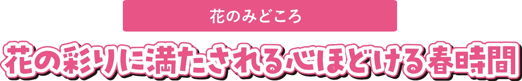 花の彩りに満たされる心ほどける春時間