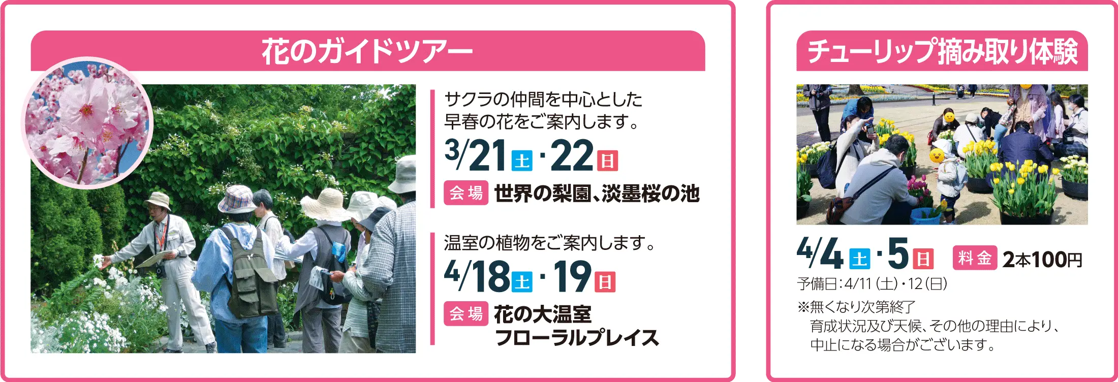 花のガイドツアー