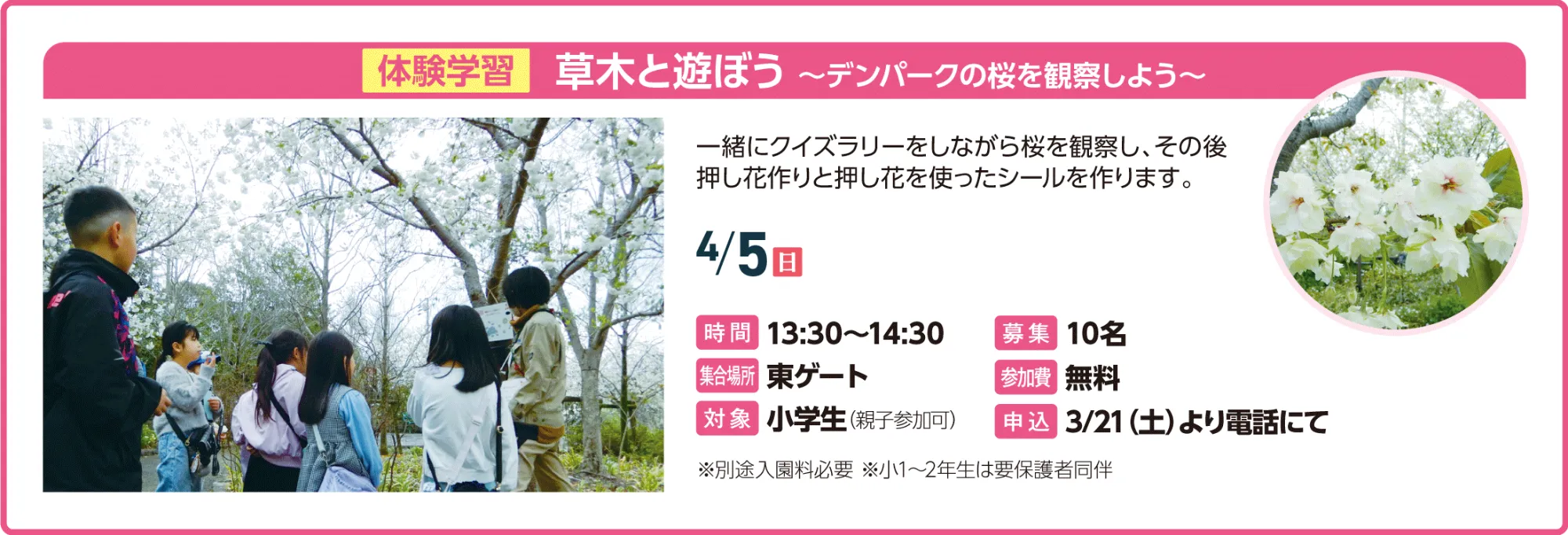 体験学習 草木と遊ぼう