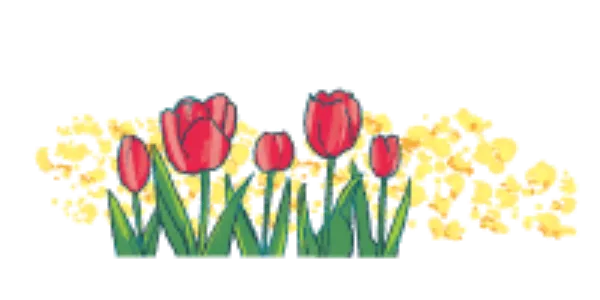 左チューリップ