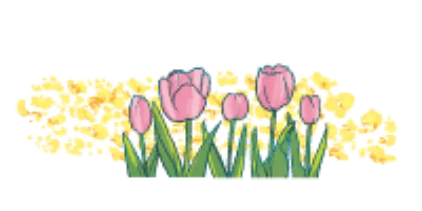 右チューリップ