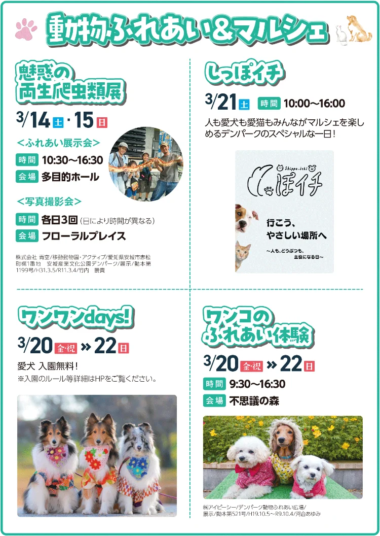 春を感じるイベントてんこ盛りのイベント詳細2