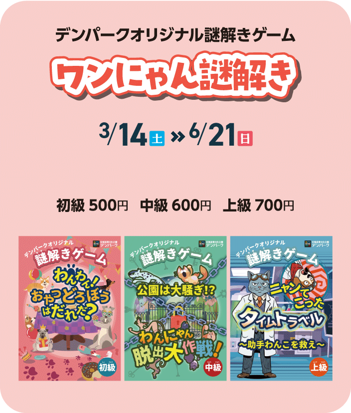 ワンにゃん謎解き